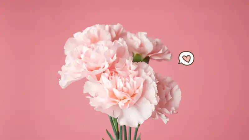 Best Graduation Flowers and Gifts for 2025