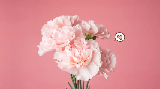 Best Graduation Flowers and Gifts for 2025