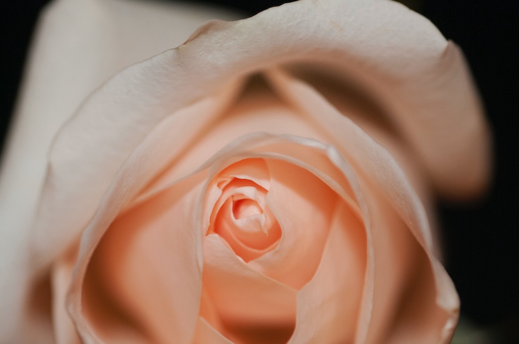 Peach Rose: Soft, Simple And Stunning Bouquet For Your Wedding