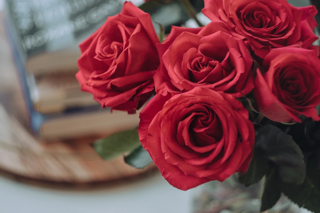 Here Are the Moments That Make Red Roses the Best Gift Choice