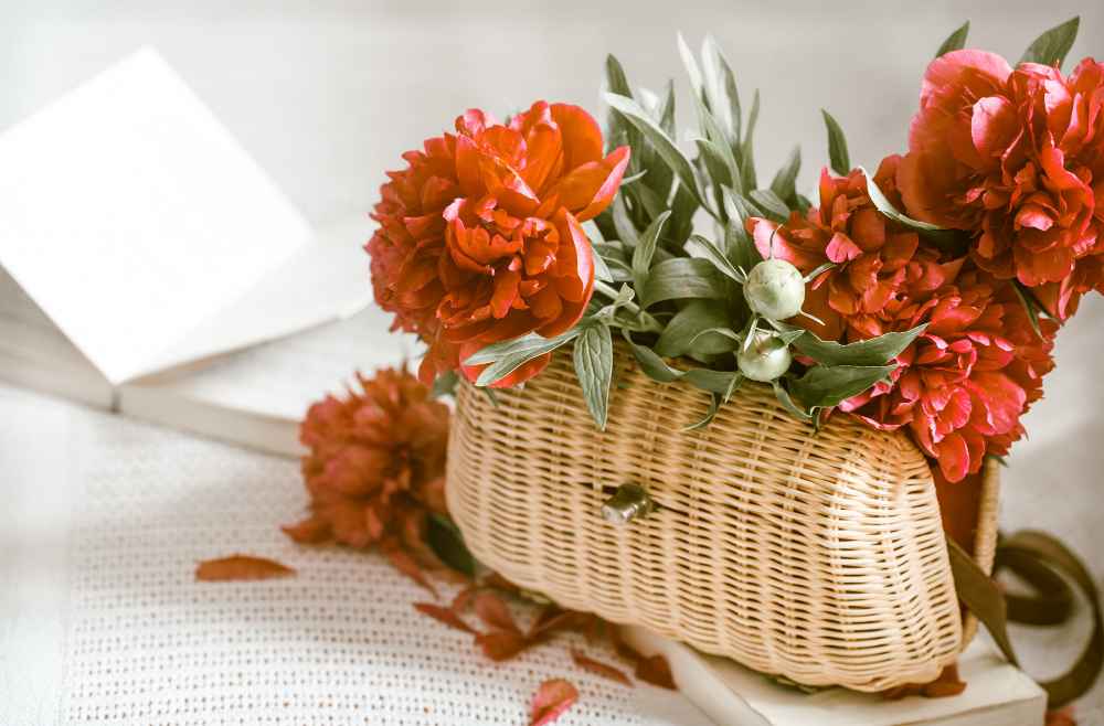 Want To Give a Carnation Bouquet? Here Are the Meanings of Its Colors