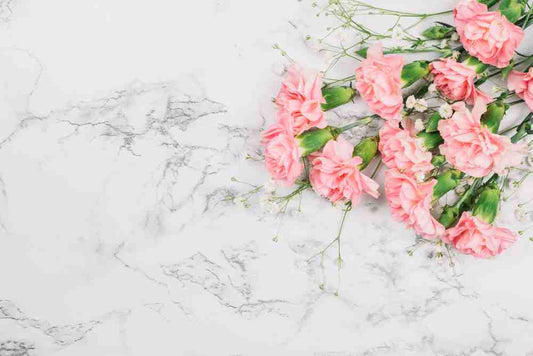 10 Essential Varieties of Carnation that Every Flower Enthusiast Should Know