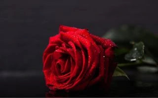 Recommendation Perfect Valentine Gift for Your Loved One in Malaysia