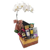 Sadik Raya Hamper with Live Phalaenopsis Orchid Whittard Tea - Ramadan 2026
