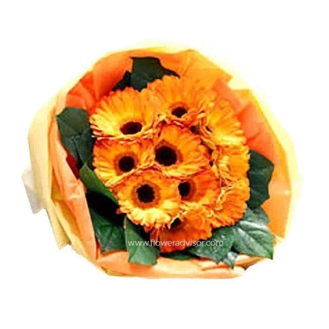 Bouquet of fresh orange gerbera daisies wrapped in yellow and orange paper with green leaves