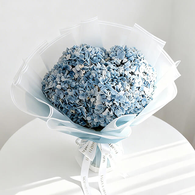 Hydrangea Ocean Serenade