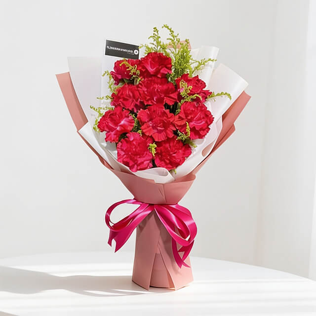 Brilliant Carnation