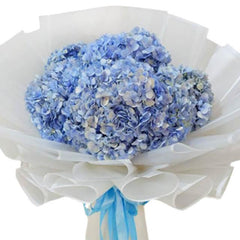 Blue Hydrangeas Bouquet - My Baby Blue - FlowerAdvisor MY
