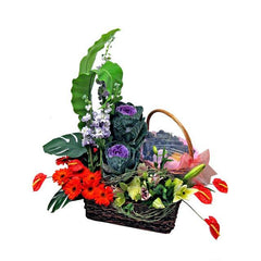 FlowerAdvisor Malaysia fresh flower basket with purple ornamental cabbage, red gerberas, lilies, and green foliage arranged with a woven handle basket