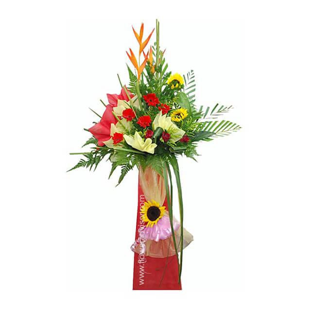 Beyond the Star - FlowerAdvisor MY