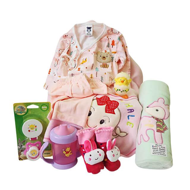 Baby gift set with pink clothing, animal print blanket, pacifier, sippy cup, soft toy, and cute socks