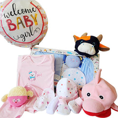 Welcome Baby - Newborn Bebe Clothes Gift Hamper