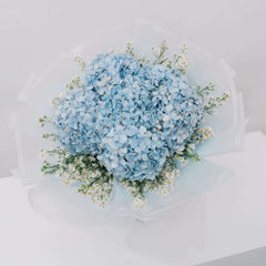 Hydrangea Azure Bloom