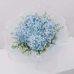 Hydrangea Azure Bloom