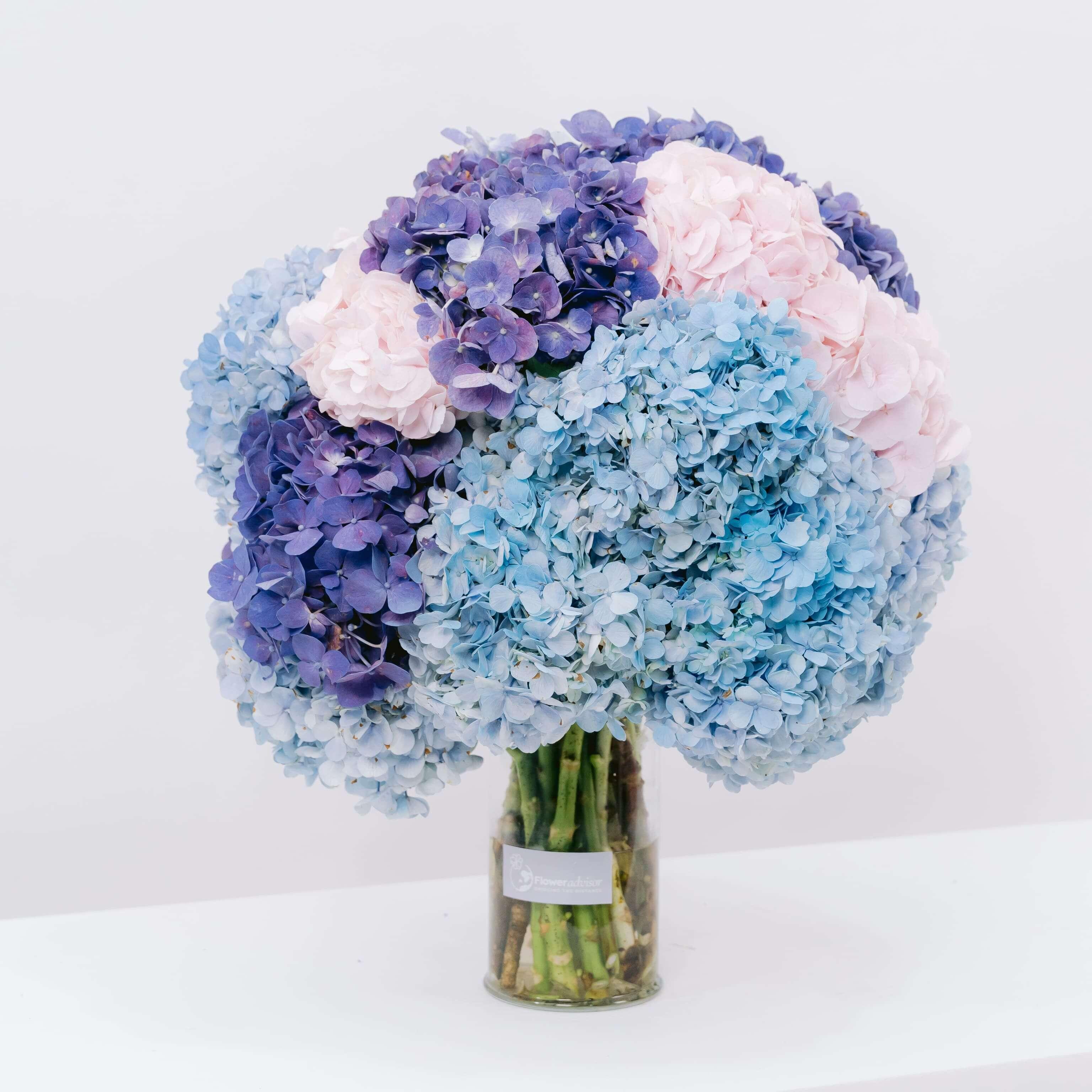 Bouquet of pink, blue, and purple hydrangeas in a clear vase with FlowerAdvisor label