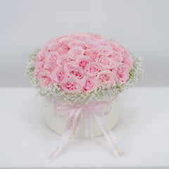 Daydream Rose