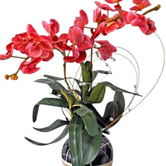 Usaily Phalaenopsis Arti Orchid Artificial Flower Potted Gift - Ramadan 2026