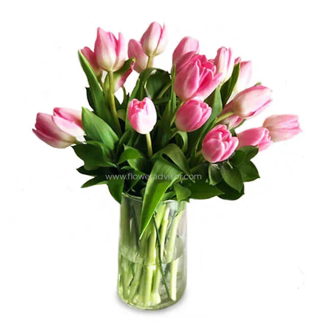 Fresh pink tulip bouquet with green leaves in clear glass vase from FlowerAdvisor Malaysia
