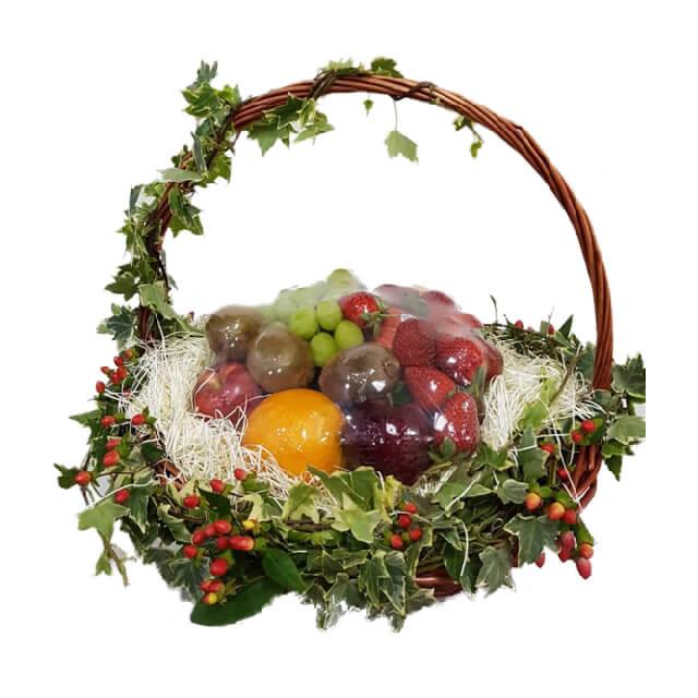 Berries of Forests - FlowerAdvisor MY