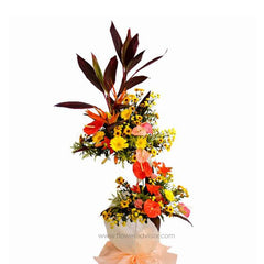 Heartiest Congratulations