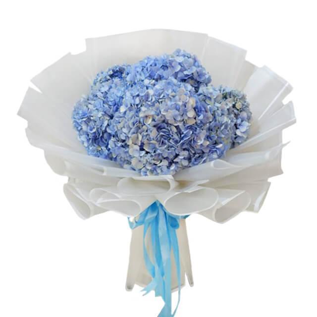 Elegant bouquet of blue hydrangeas wrapped in white paper with blue ribbon