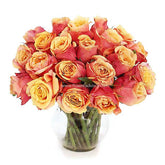 Bouquet of fresh orange roses arranged in a clear glass vase on white background