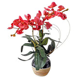 Usaily Phalaenopsis Arti Orchid Artificial Flower Potted Gift - Ramadan 2026