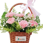 Pink Carnation Harmony Mothers Day 2025