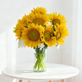 Bouquet of eight sunflowers with white accent flowers in a clear glass vase on a table