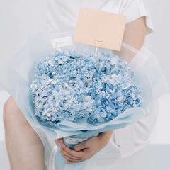 Hydrangea Ocean Serenade