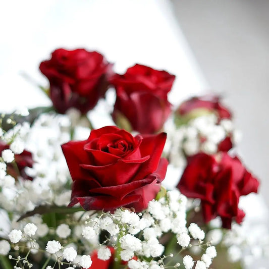 Top Luxury Valentine's Day Flowers to Show Your Love