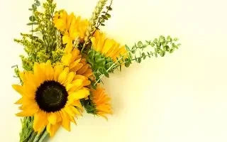 Bright yellow sunflower bouquet for joyful gifting occasions