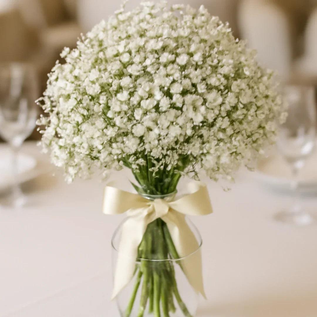 White baby's breath bouquet tied with cream ribbon in clear vase on elegant table