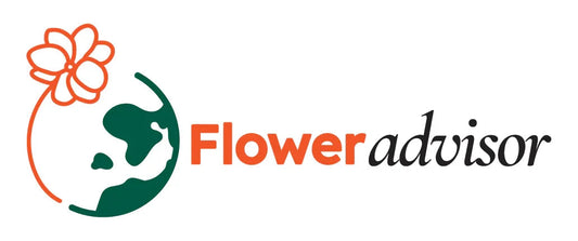 Flower Delivery Malaysia: Send Fresh Flowers & Gifts Online