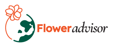 Checklist for choosing a reliable online florist in Malaysia
