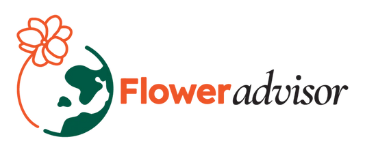 How to Choose a Reliable Online Florist in Malaysia