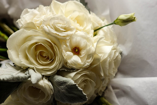 White Rose: When Beauty Meets Elegance