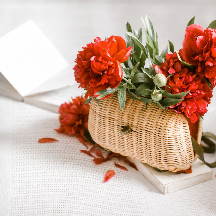 Want To Give a Carnation Bouquet? Here Are the Meanings of Its Colors