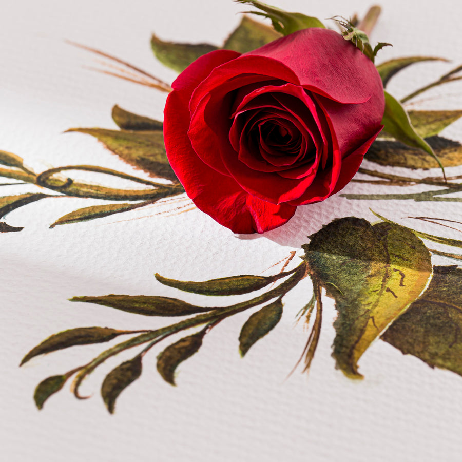 Rose Meaning by Colour: Complete Gift Guide Malaysia