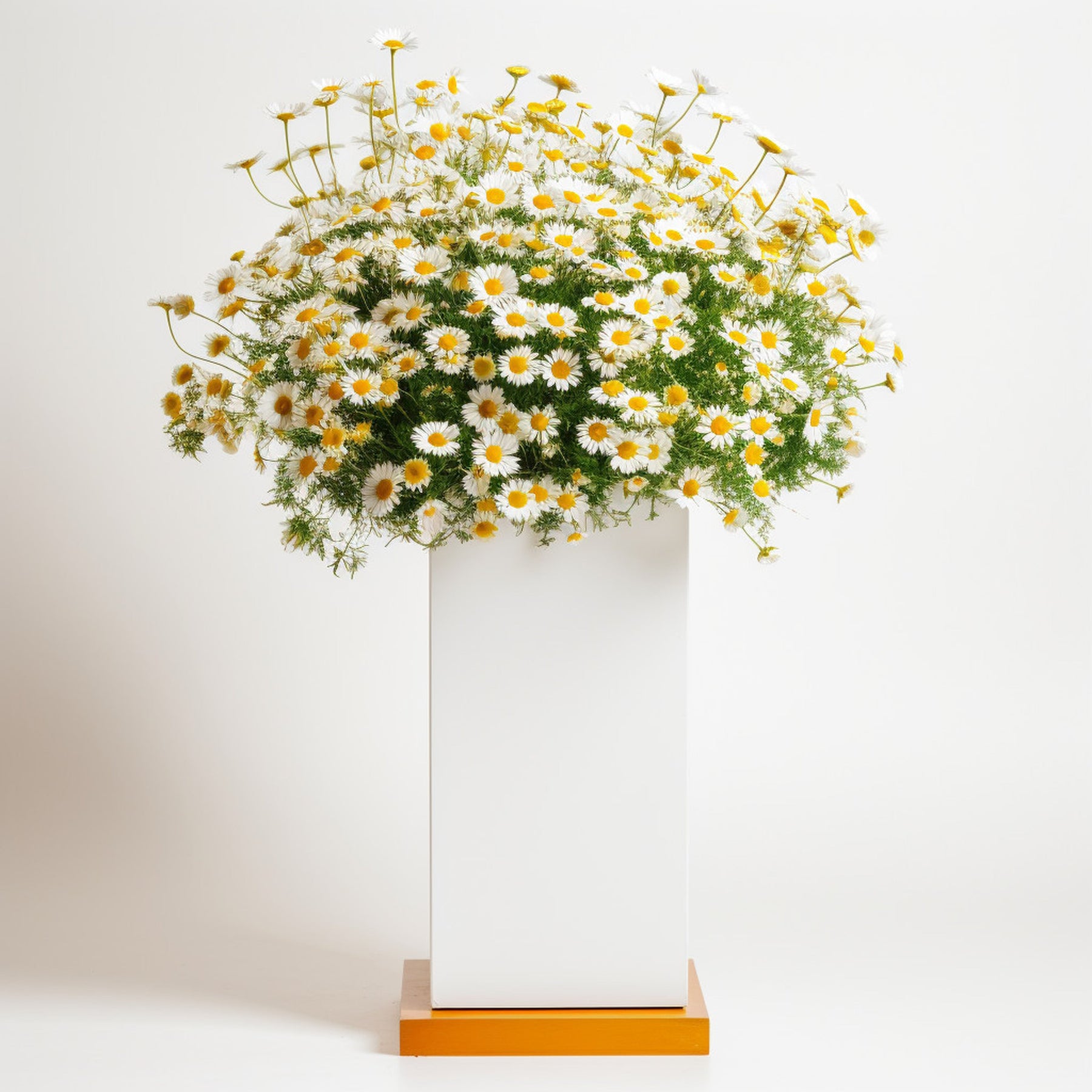 Grand Opening Flower Stand Malaysia: Meaningful Flowers for a Successful New Beginning