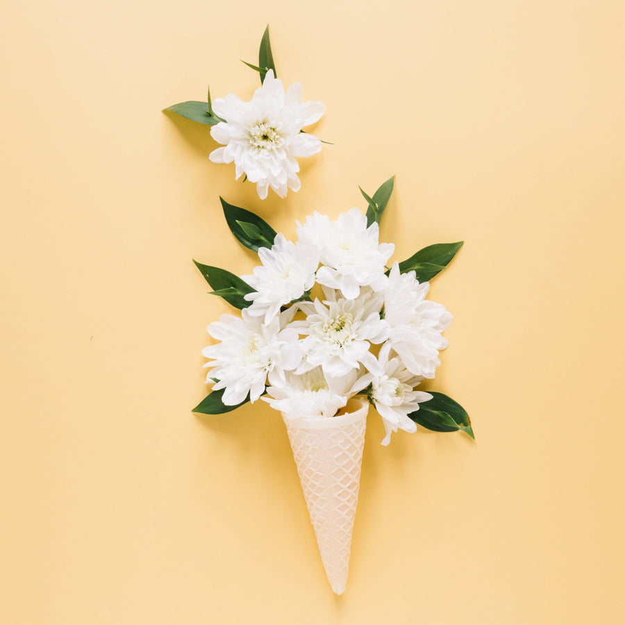 White Flower Meaning: Elegant Blooms for Sincere and Meaningful Gifts