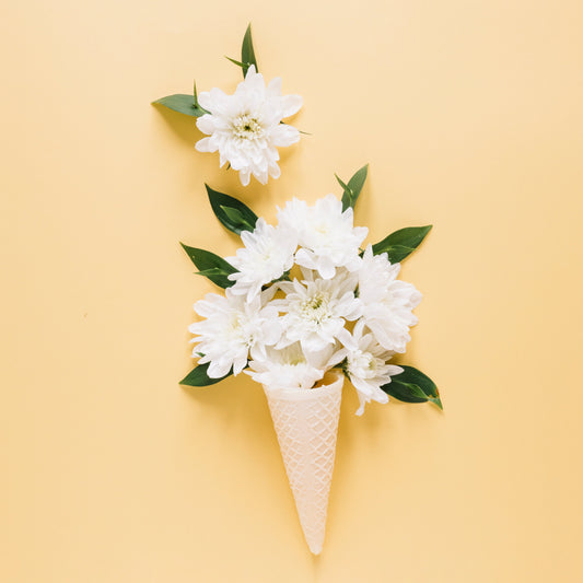 White Flower Meaning: Elegant Blooms for Sincere and Meaningful Gifts