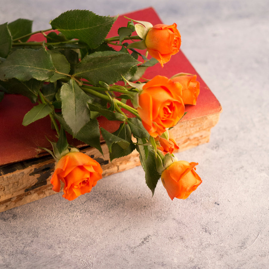 Orange Roses Meaning: A Bright Flower Gift for Joy, Passion, and Encouragement