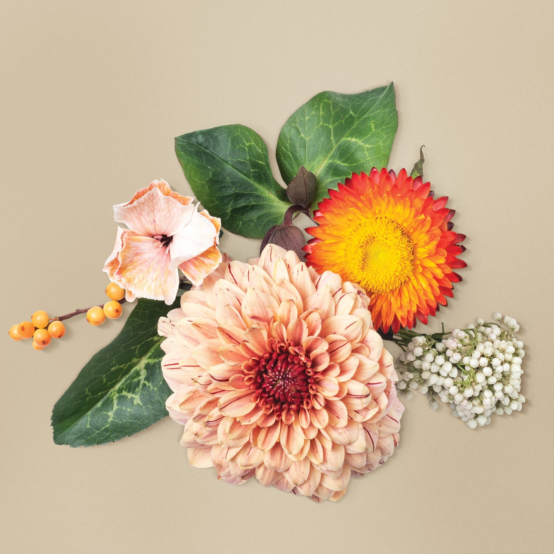Beautiful Flowers for Every Occasion in Malaysia: A Guide to Stunning Floral Gifts