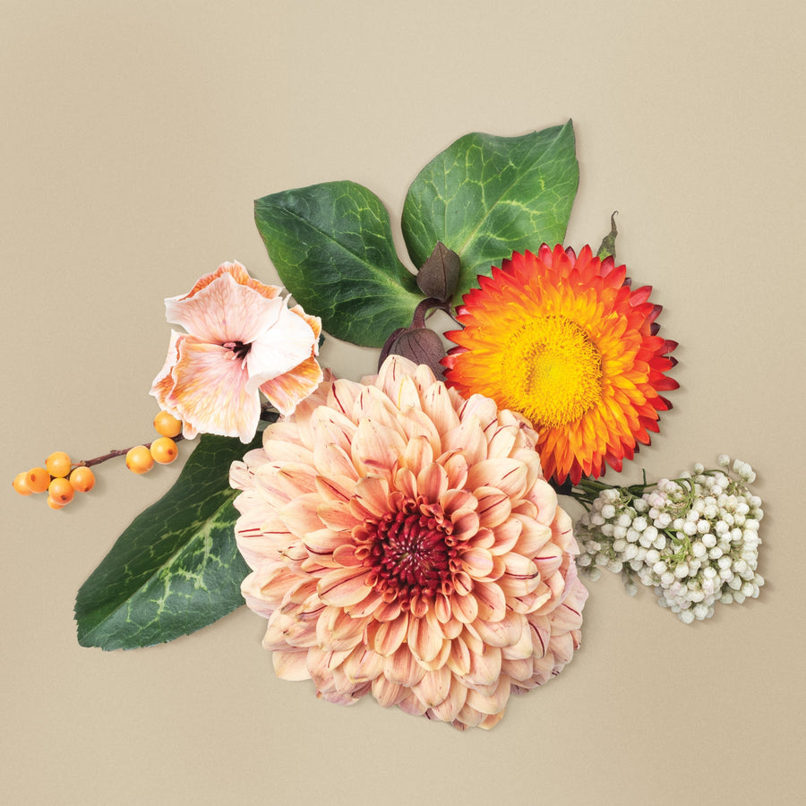 Beautiful Flowers for Every Occasion in Malaysia: A Guide to Stunning Floral Gifts