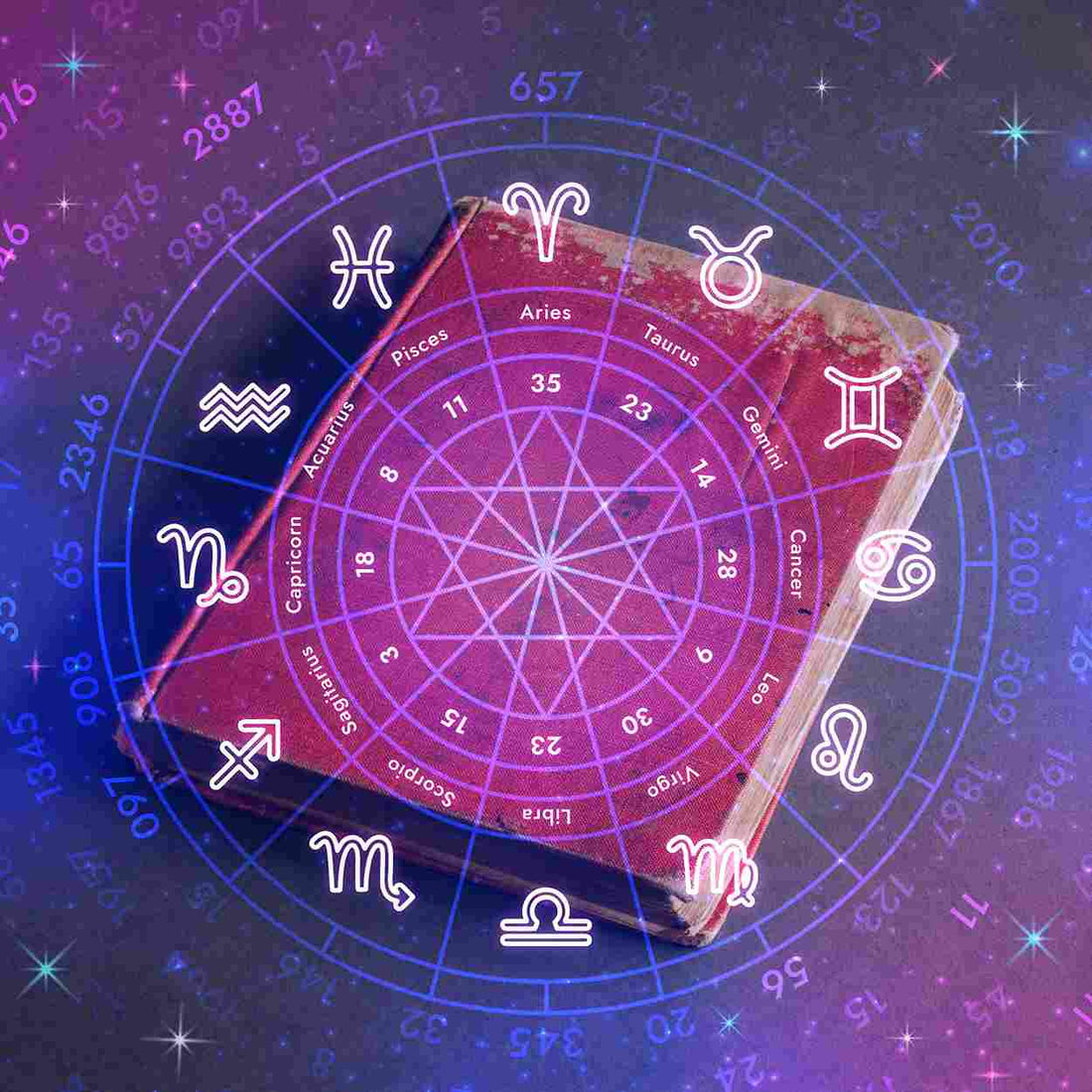 All Guide for Flowers Zodiac Sign