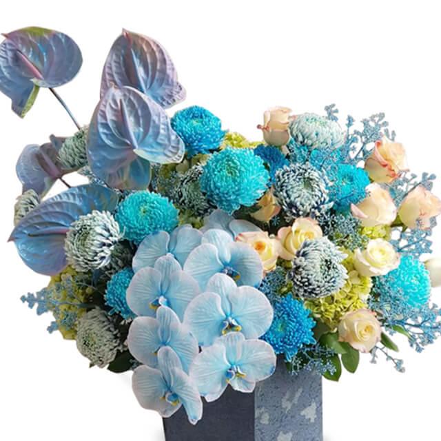 Bloom Boxes