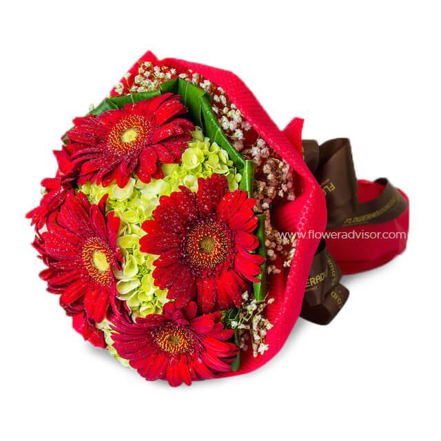 Bouquet with red gerberas, green hydrangeas, baby’s breath in red wrapping, brown ribbon