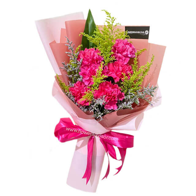 6 Pink Carnations Bouquet - Voice of Reason