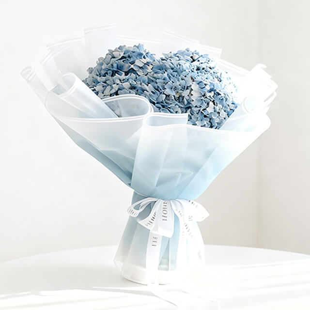 Hydrangea  Ocean Serenade